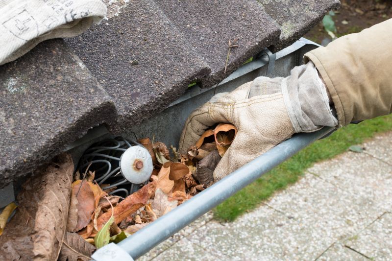 Gutter Pine Needle Removal in Bergen County, NJ